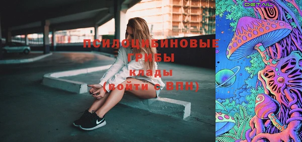 хмурый Арсеньев