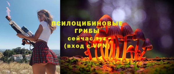 гашиш Аркадак
