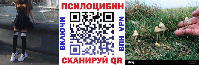 магазин продажи наркотиков  Палласовка  Псилоцибиновые грибы мухоморы 